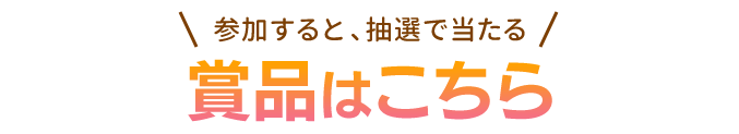 参加すると、抽選で当たる賞品はこちら