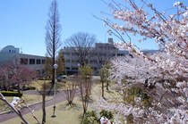 保育士教育の草分け！小田原短期大学監修