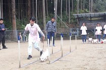 【動物総合科】様々な動物の分野を勉強し、多くの資格取得を目指す！