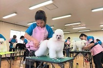 【愛犬美容科】全国トップレベルのトリミング技術を学びます