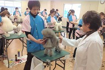 【愛犬美容科】即戦力となるトリマーを目指すコース☆