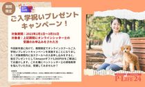 期間内に入会申し込みをすると、Amazonギフト5,000円分をご郵送にてお届けします。