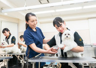 １年次から“１人１頭”での美容実習。少人数制の授業で１人にとりきめ細かく指導。<br />
