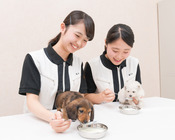 校内にいる仔犬の健康管理・食事の管理などのお世話を学びます。