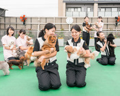 ２５０頭のモデル犬を飼育管理することで、犬の扱い方・健康管理を学べます。