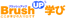 BrushUPw