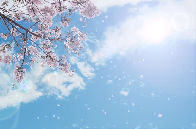 青空と桜
